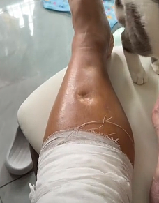 【宠物】妹子发帖说亏欠小猫,猫瘦得比筷子还细了!网友心疼地点开图片,满脸不解:是这个插4根筷子的冬瓜吗?(组图) - 21