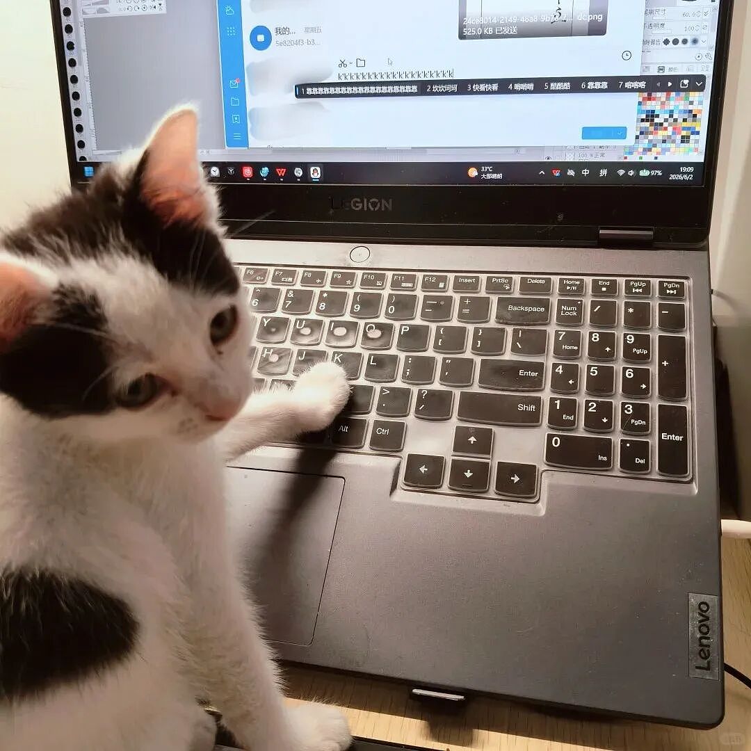 【宠物】妹子发帖说亏欠小猫,猫瘦得比筷子还细了!网友心疼地点开图片,满脸不解:是这个插4根筷子的冬瓜吗?(组图) - 10