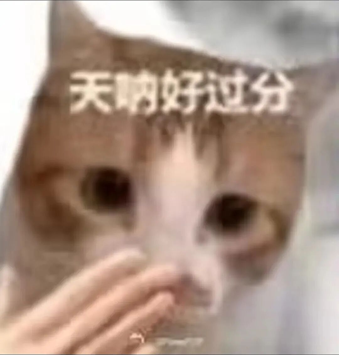 【宠物】妹子发帖说亏欠小猫,猫瘦得比筷子还细了!网友心疼地点开图片,满脸不解:是这个插4根筷子的冬瓜吗?(组图) - 16