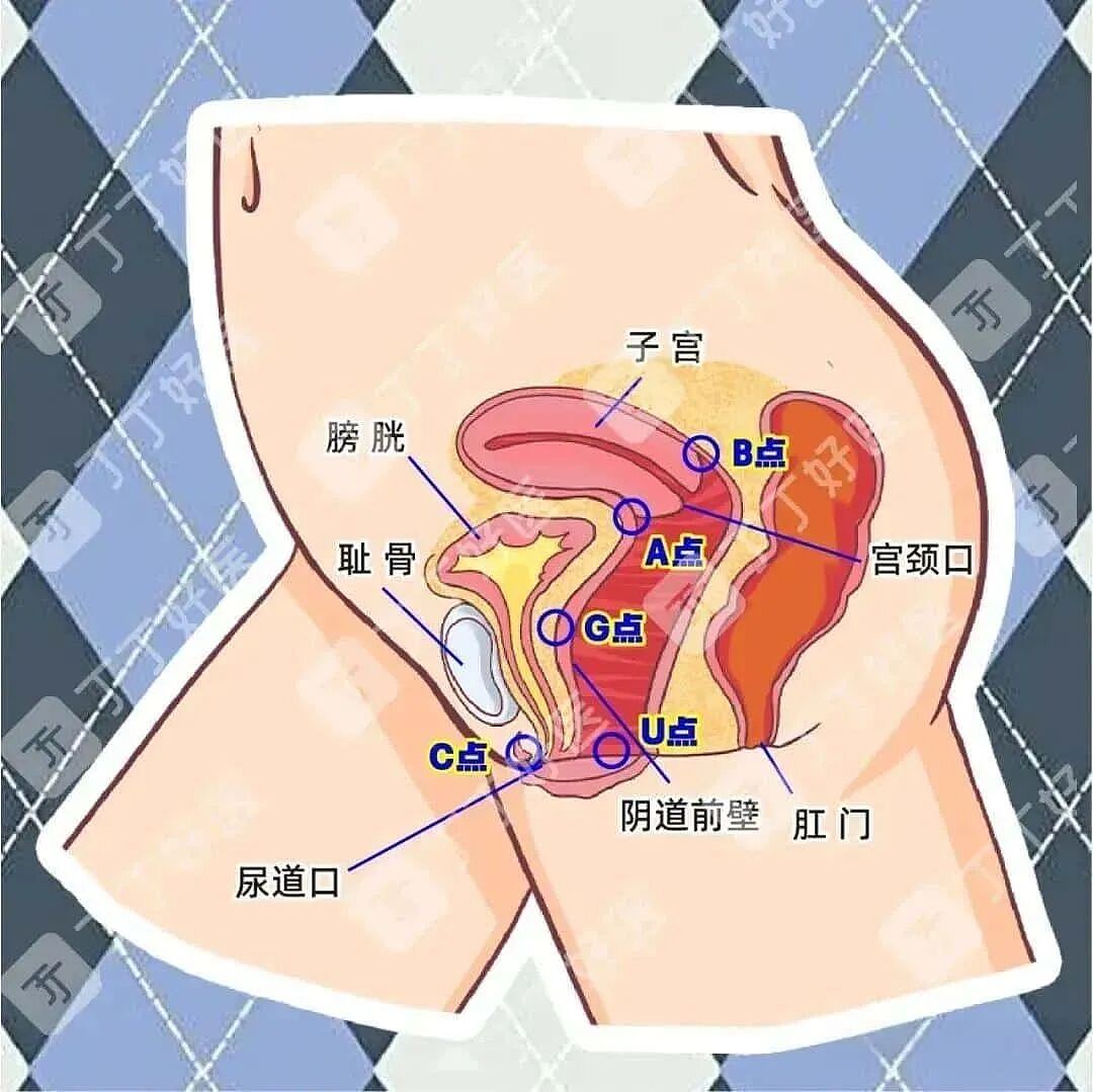 【两性】拍屁股、飙骚话...女生喜欢的10个性爱小细节（组图） - 7