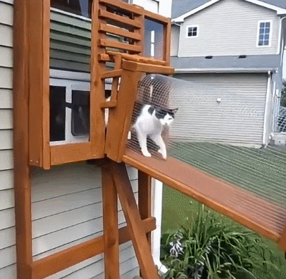 【宠物】小姐姐手搓了一个豪华户外猫隧道,让猫猫可以走到菜园里玩,网友狂赞:这需要很多很多的爱和钱!(组图) - 6