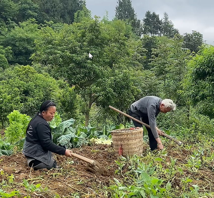 【情感】6岁失双腿,21岁失至亲,28岁丧偶,独自带俩娃的“无腿妈妈”走出最硬人生路(组图) - 11