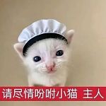 【宠物】小猫失踪3天后回家，身上多了张纸条，主人一看差点被气死哈哈哈哈哈哈（组图）