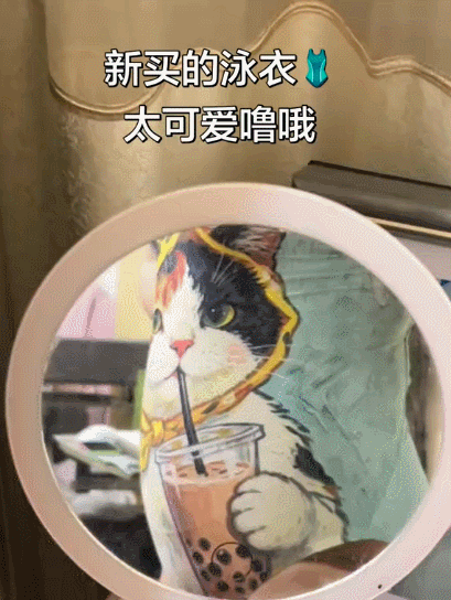 【宠物】小猫失踪3天后回家，身上多了张纸条，主人一看差点被气死哈哈哈哈哈哈（组图） - 15