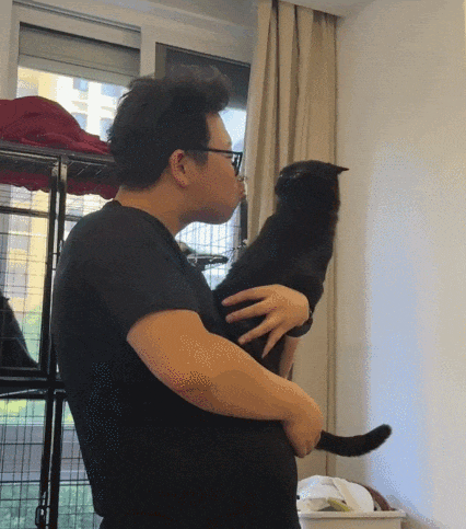 【宠物】小猫失踪3天后回家，身上多了张纸条，主人一看差点被气死哈哈哈哈哈哈（组图） - 22