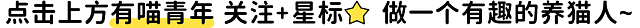 【宠物】放完假第一天上班时的我:困困困困困(组图) - 1