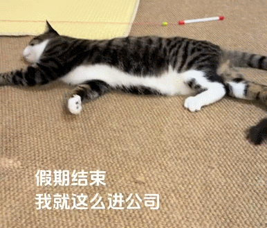 【宠物】放完假第一天上班时的我:困困困困困(组图) - 3