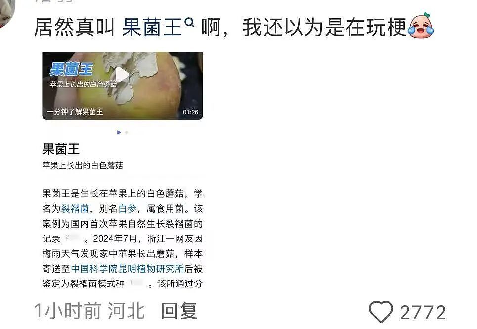 【爆笑】“例行通知开会被同事当成了撒气桶...？”啊啊啊我将全职学习这个评论区！（组图） - 30