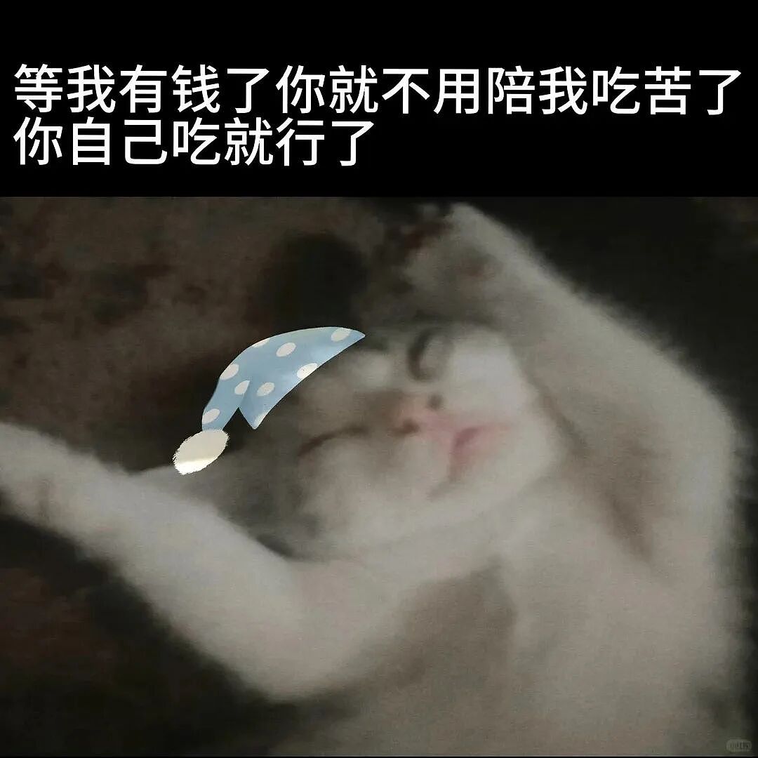 【宠物】放完假第一天上班时的我:困困困困困(组图) - 11