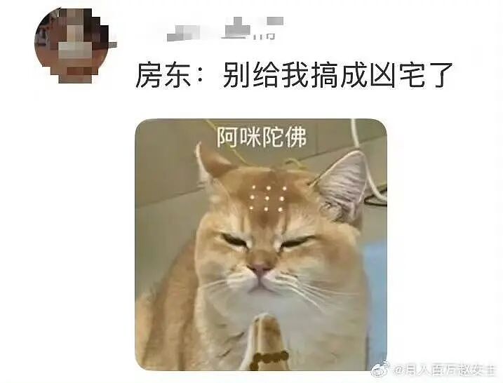 【爆笑】“例行通知开会被同事当成了撒气桶...？”啊啊啊我将全职学习这个评论区！（组图） - 54