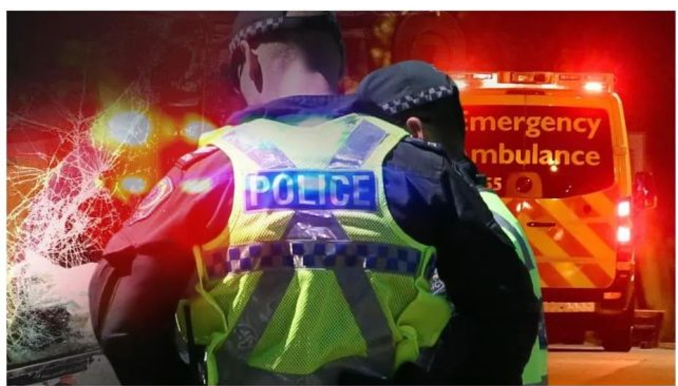 阿德CBD突发随机袭击, 路人街头遭猛推倒地; 南澳主干道皮卡撞树, 道路封闭!(组图) - 2