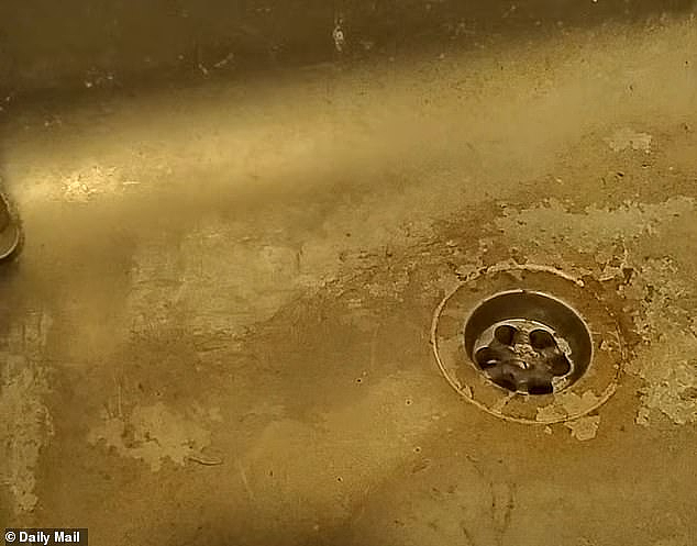 澳洲租客有多难？每周按时交租，退租时打扫得干干净净，房东依然找理由不退押金！（组图） - 4