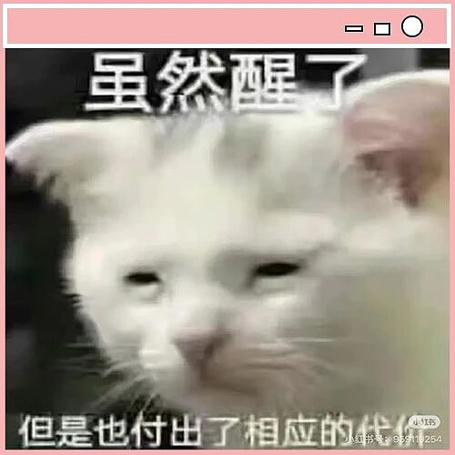 【爆笑】“被10后要微信后我破防了…？”哈哈哈回答竟是如此暴露年龄的一句话！（组图） - 2