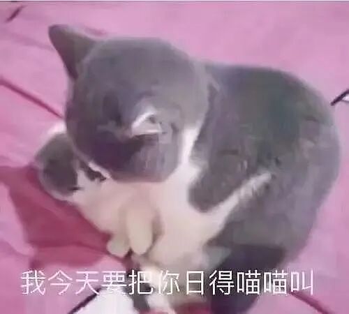 【两性】在床上说这些，让她一“湿”到底（组图） - 5