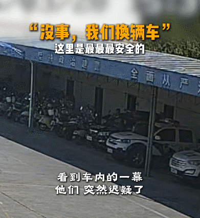 【宠物】调酒师吐槽店里跑来很多猫，客人以为自己喝醉眼花了哈哈哈，评论区：不喝酒能进店吗？（组图） - 1