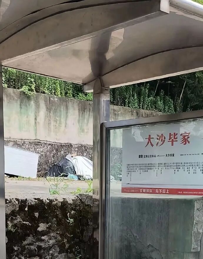 【爆笑】男领导给我三个荔枝，是想让我当2+1的意思吗？（组图） - 37