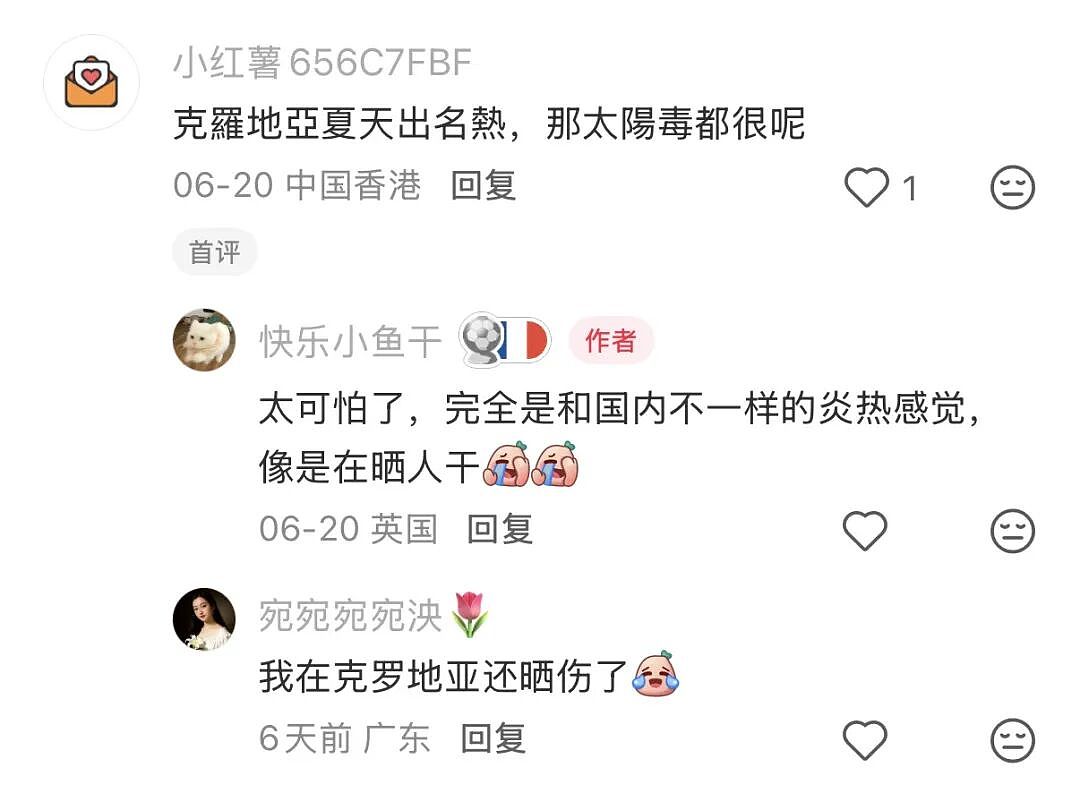 “带父母旅游，落地第一天妈妈进医院！”欧洲1.5万人因高温死亡，中国游客崩溃逃离...（组图） - 2