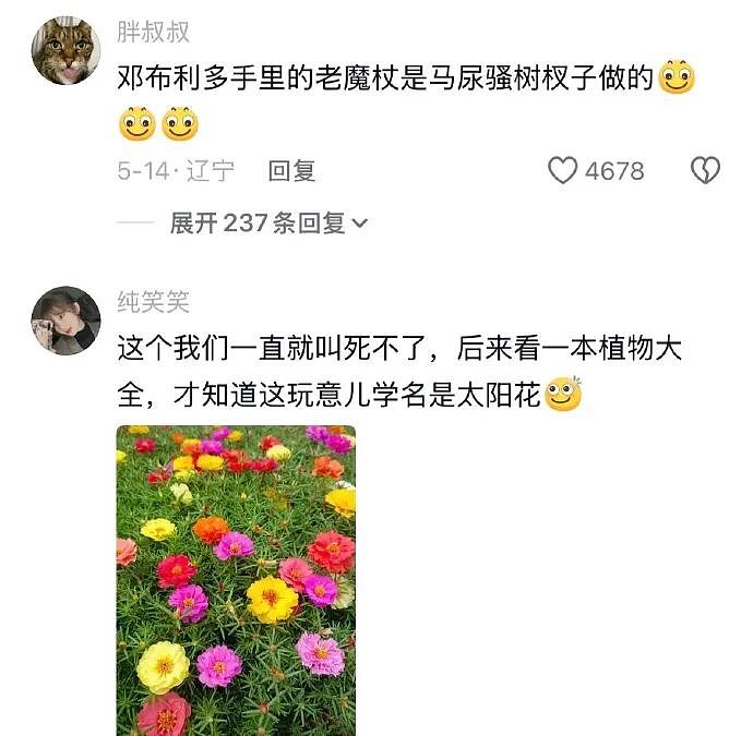 【爆笑】男领导给我三个荔枝，是想让我当2+1的意思吗？（组图） - 38