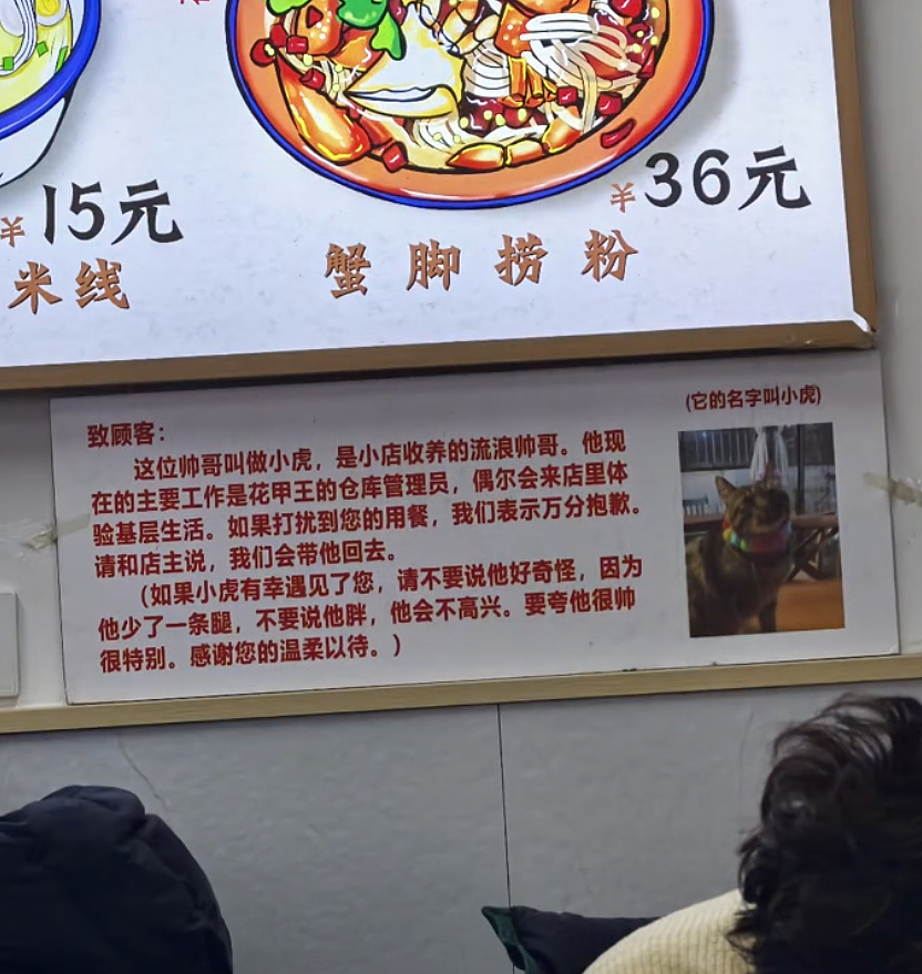 【宠物】调酒师吐槽店里跑来很多猫，客人以为自己喝醉眼花了哈哈哈，评论区：不喝酒能进店吗？（组图） - 10