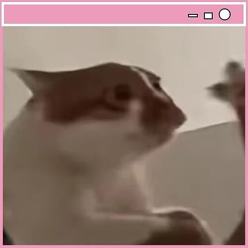 【爆笑】“只见过一次的网聊对象要跟我先婚后爱…？”哈哈哈在这签到领对象呢！（组图） - 3