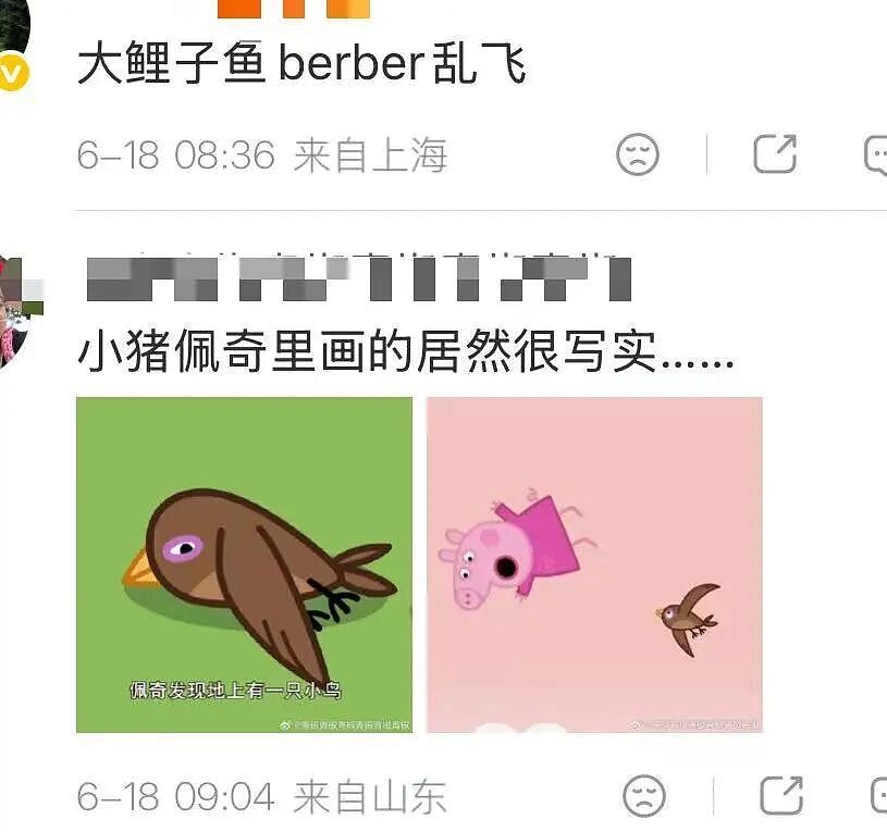【爆笑】“只见过一次的网聊对象要跟我先婚后爱…？”哈哈哈在这签到领对象呢！（组图） - 48