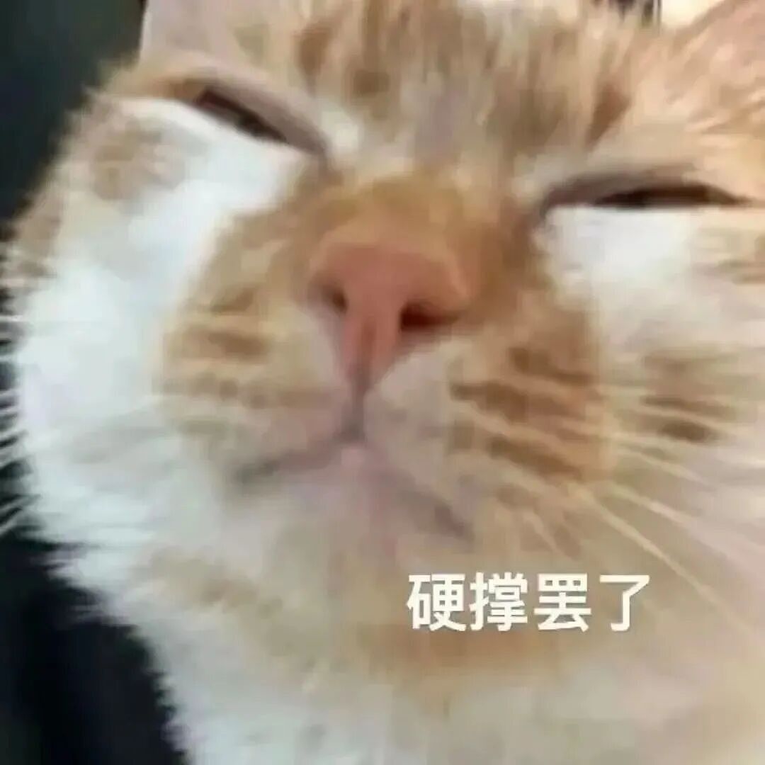 【宠物】小姐姐发帖问为啥空调的风一股脚臭味风,研究很久找不到原因…点开却看到出风口有两只毛茸茸的脚!(组图) - 1