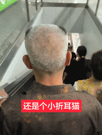 【宠物】小姐姐发帖问为啥空调的风一股脚臭味风,研究很久找不到原因…点开却看到出风口有两只毛茸茸的脚!(组图) - 13