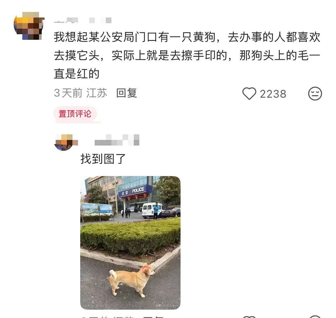 【爆笑】“女儿没做过的医美60岁老爸先做上了…？”哈哈哈做完瞬间解锁善良人格！（组图） - 34