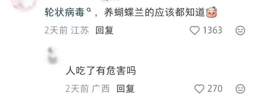 【爆笑】“女儿没做过的医美60岁老爸先做上了…？”哈哈哈做完瞬间解锁善良人格！（组图） - 45