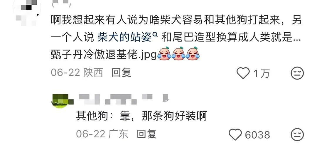 【爆笑】“女儿没做过的医美60岁老爸先做上了…？”哈哈哈做完瞬间解锁善良人格！（组图） - 28