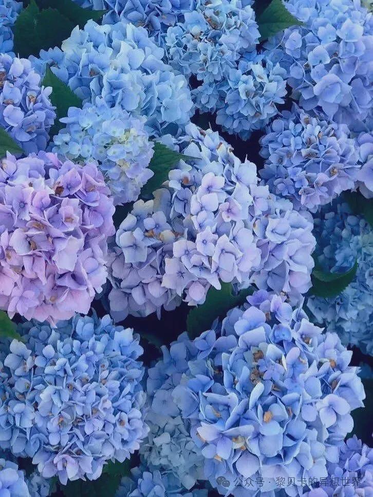 【时尚】这位顶流的美商绝了!我的穿搭思路直接被打开 - 87