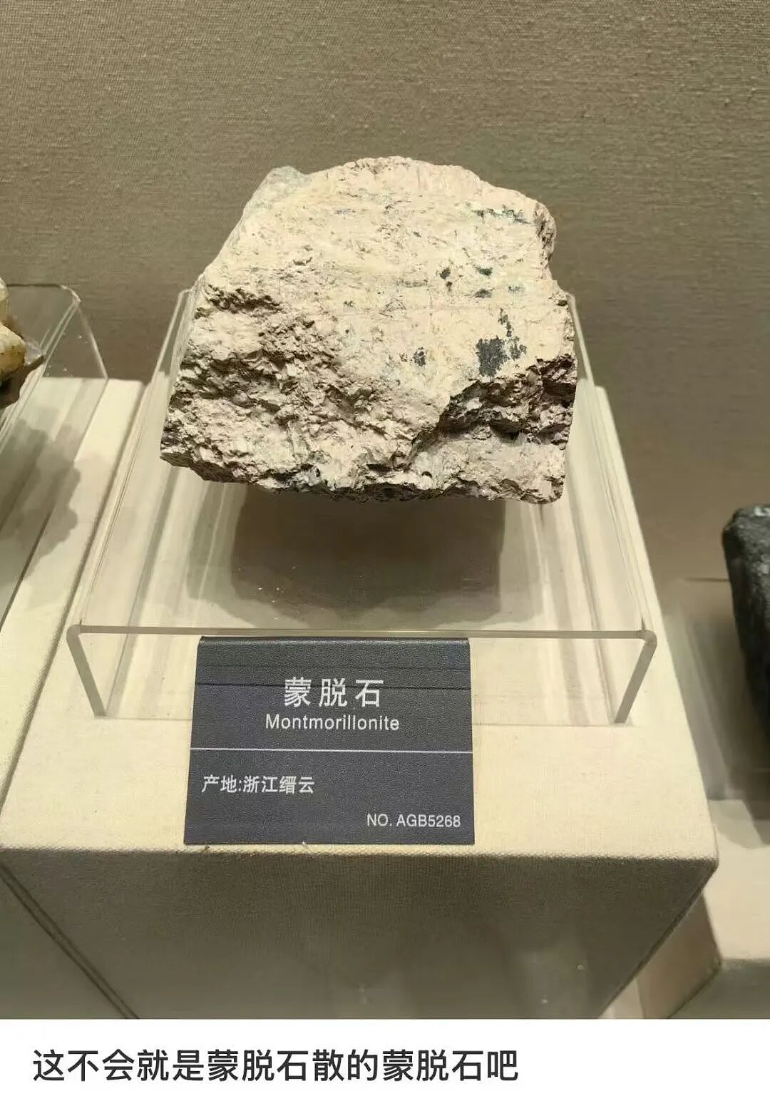【爆笑】“女儿没做过的医美60岁老爸先做上了…？”哈哈哈做完瞬间解锁善良人格！（组图） - 69