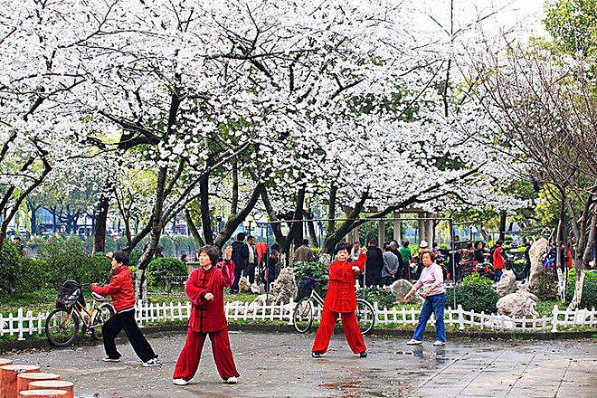 【健康】年龄越大越要少锻炼?医生建议:年过60岁,尽量避免5种减寿行为(组图) - 8