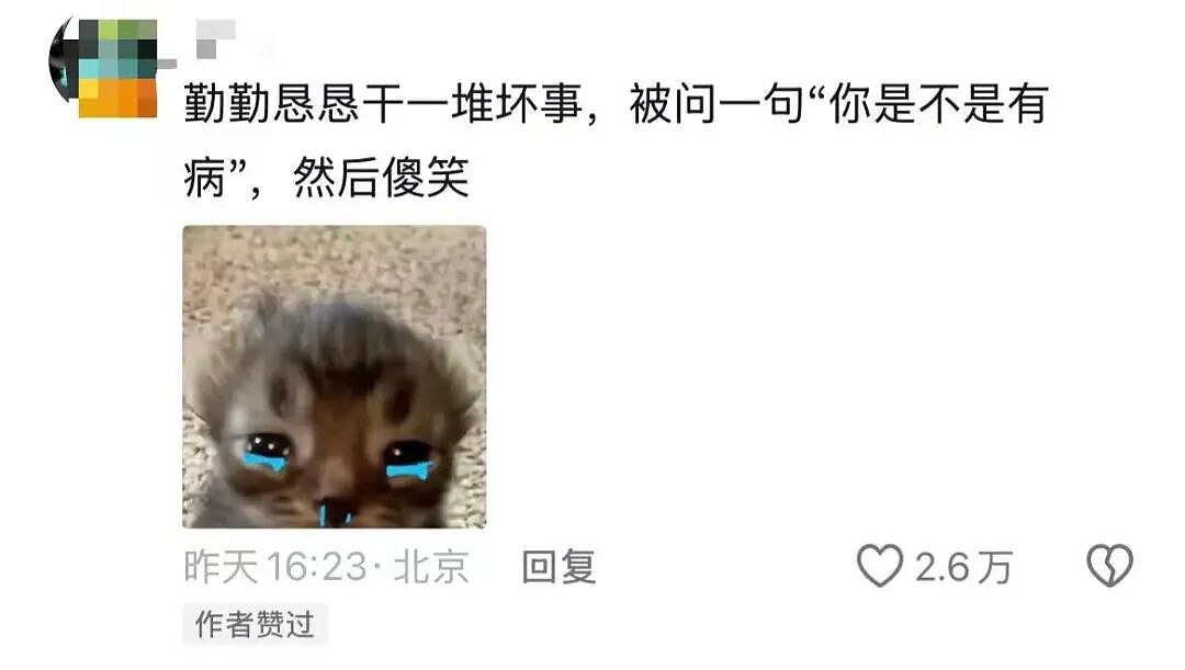 【爆笑】“毕业前室友做过什么事让你印象深刻...？”哈哈哈全是忘记干坏事的悔恨！（组图） - 5
