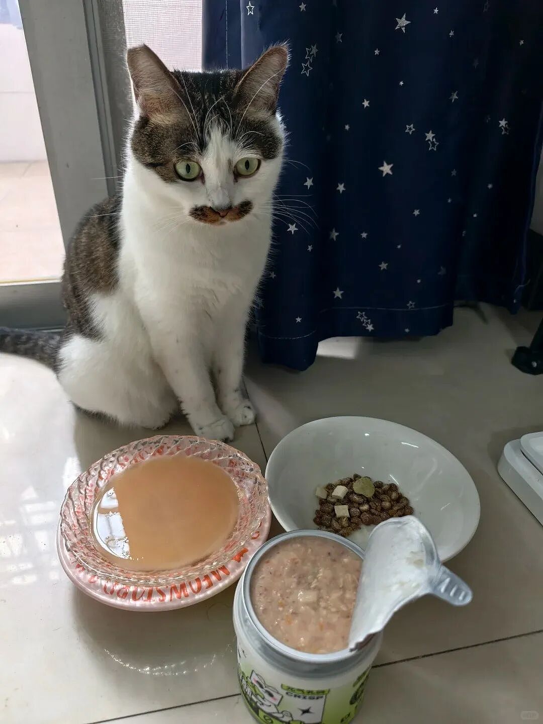 【宠物】小哥坐飞机听了一路猫叫，还以为是铃声，没想到前面真坐着猫，网友心化：如听仙乐耳暂明了（组图） - 20