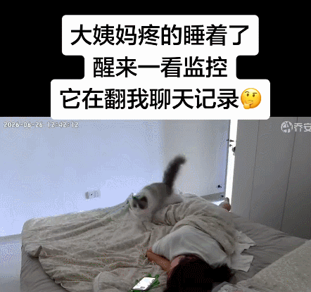 【宠物】小哥坐飞机听了一路猫叫，还以为是铃声，没想到前面真坐着猫，网友心化：如听仙乐耳暂明了（组图） - 10