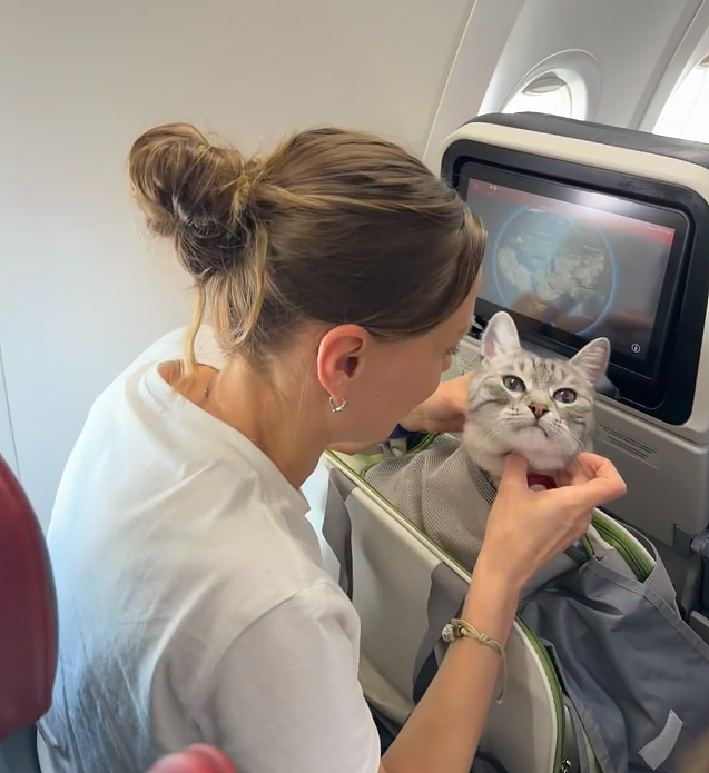 【宠物】小哥坐飞机听了一路猫叫，还以为是铃声，没想到前面真坐着猫，网友心化：如听仙乐耳暂明了（组图） - 13