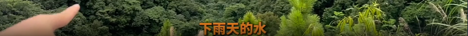 回国探亲变永别，纽约44岁华人却命丧福建峡谷，朋友：最后一刻他还试图救人（组图） - 6