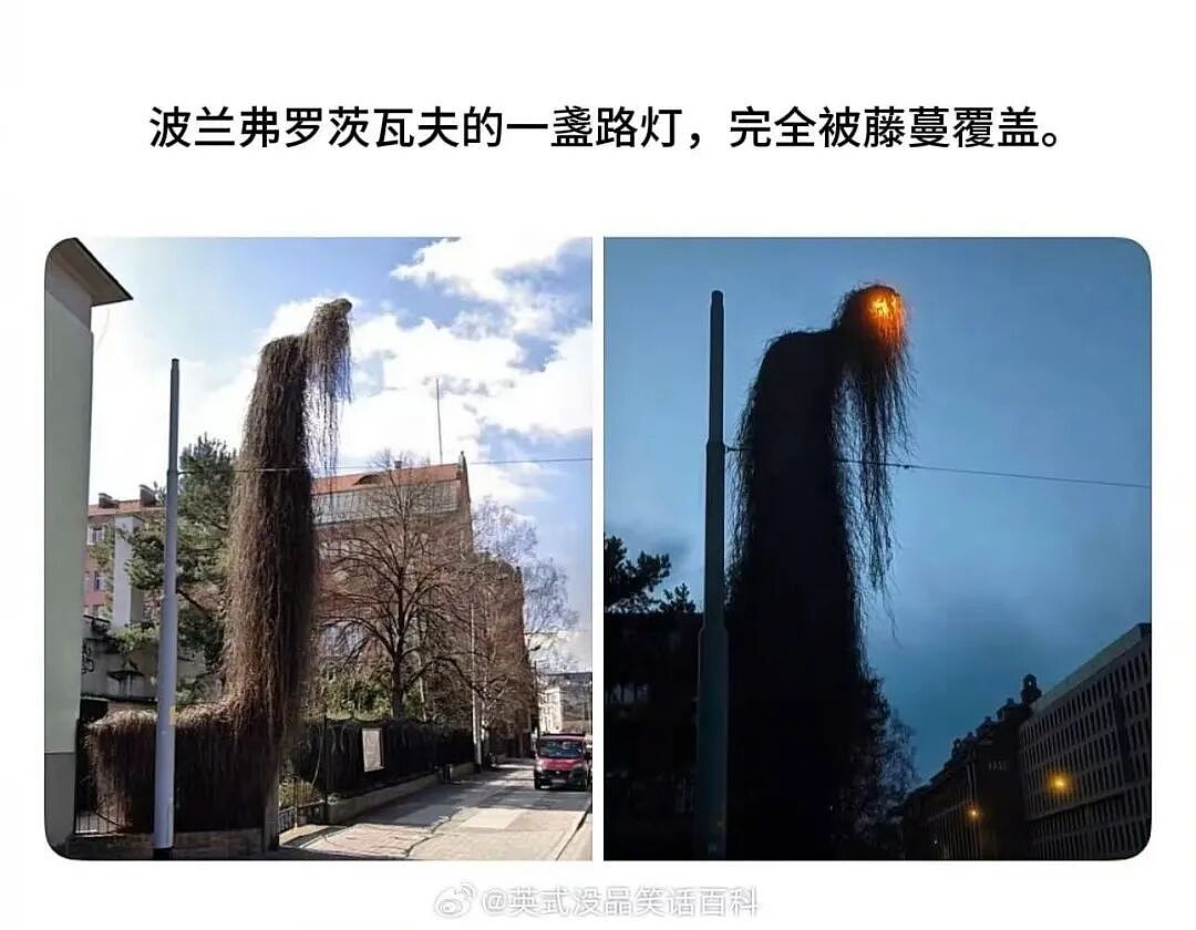 【爆笑】“公司开始上四休三但是要求降薪…？”啊啊啊这到底是好事还是坏事！（组图） - 19