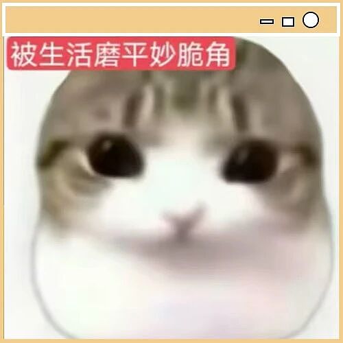 【爆笑】“公司开始上四休三但是要求降薪…？”啊啊啊这到底是好事还是坏事！（组图） - 1