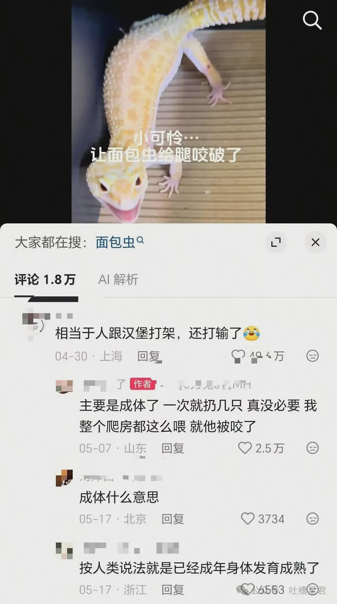 【爆笑】“和精神小妹过一天后爆瘦两斤…?”哈哈哈我当年就是因为不耐饿被团体驱逐了! - 17