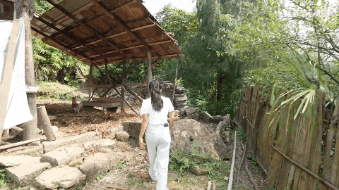 【情感】初中毕业、裸辞回村,她和丈夫拍出百万网友追更的深山故事 - 5