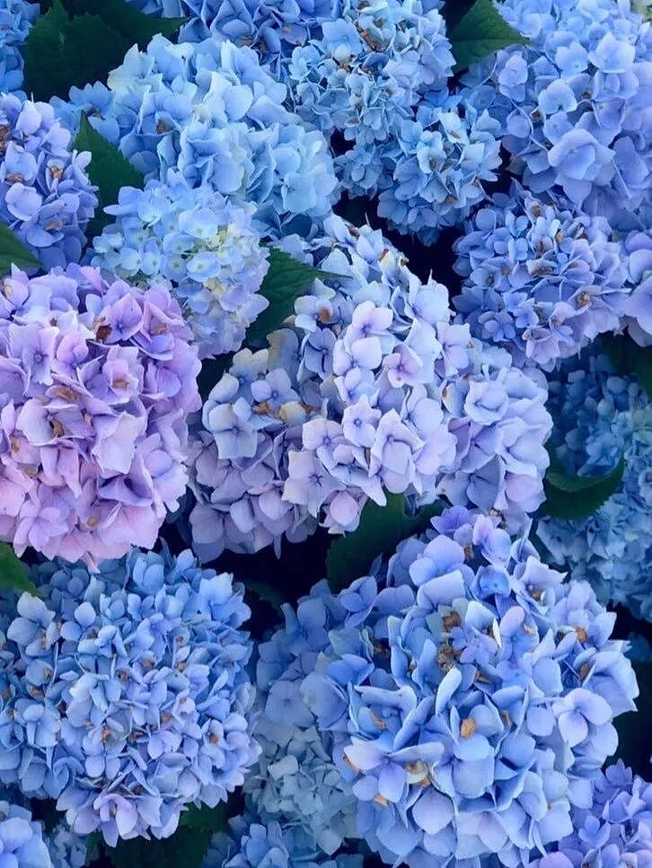 【时尚】这位顶流的美商绝了！我的穿搭思路直接被打开（组图） - 87