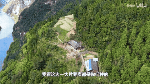 【情感】初中毕业、裸辞回村,她和丈夫拍出百万网友追更的深山故事 - 4