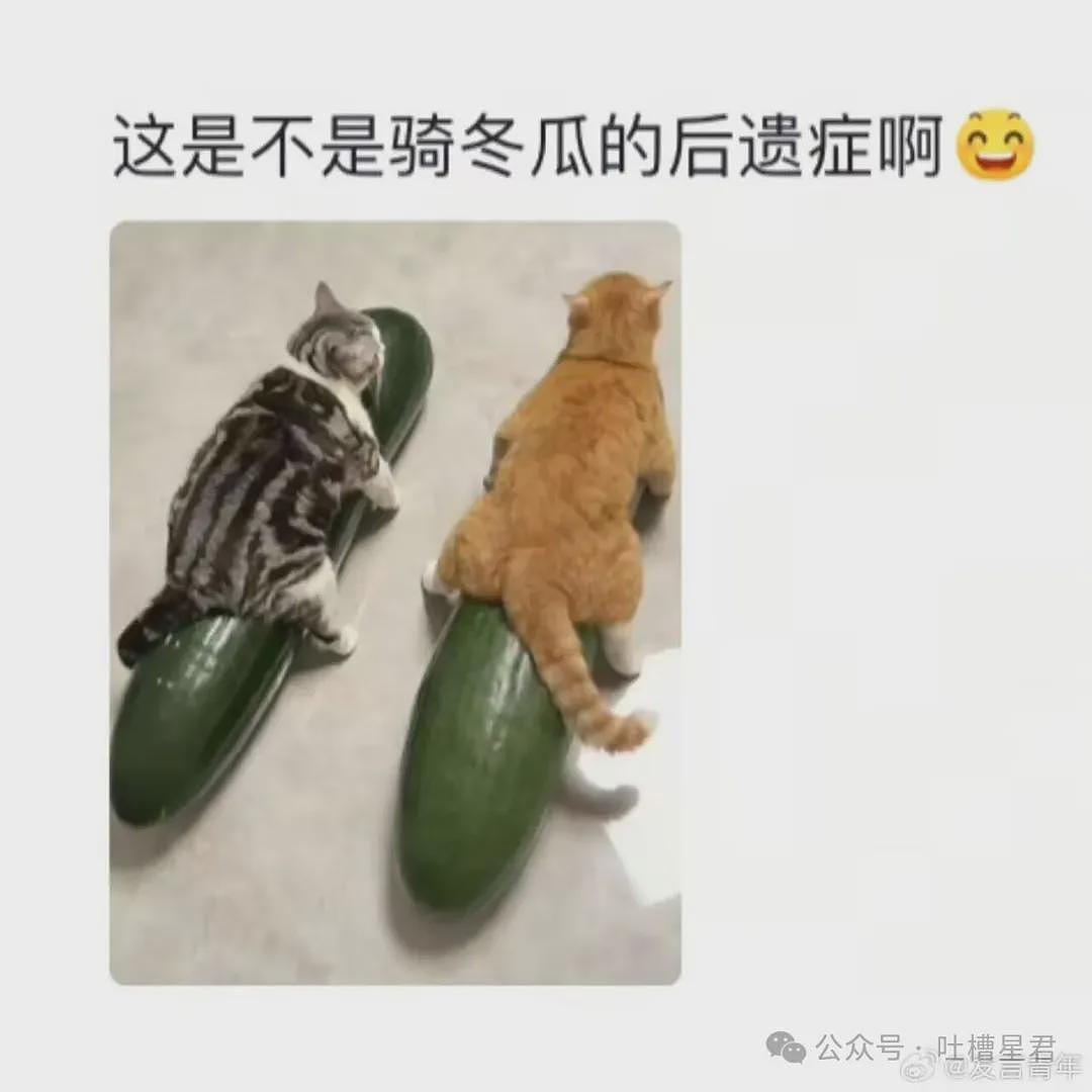 【爆笑】“和精神小妹过一天后爆瘦两斤…?”哈哈哈我当年就是因为不耐饿被团体驱逐了! - 89