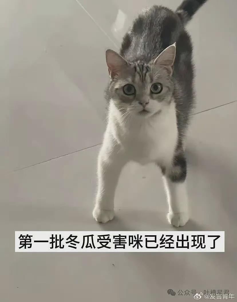 【爆笑】“和精神小妹过一天后爆瘦两斤…?”哈哈哈我当年就是因为不耐饿被团体驱逐了! - 88