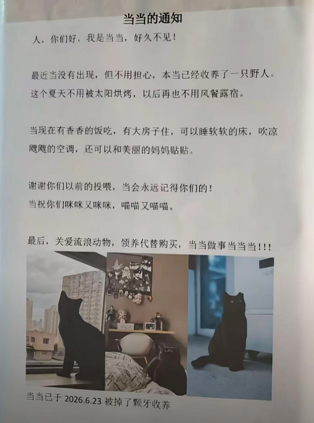 流浪小咪收养野人后留信告知好朋人…意外得到回信:呜呜祝你幸福喵喵喵喵(组图) - 13