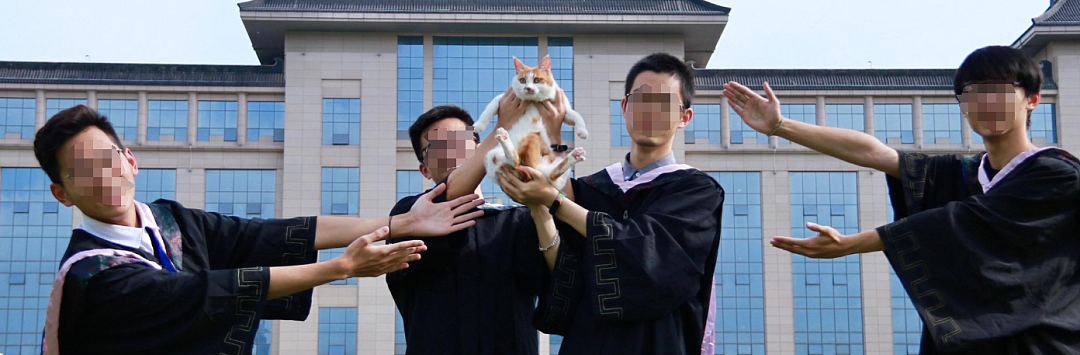流浪小咪收养野人后留信告知好朋人…意外得到回信:呜呜祝你幸福喵喵喵喵(组图) - 15