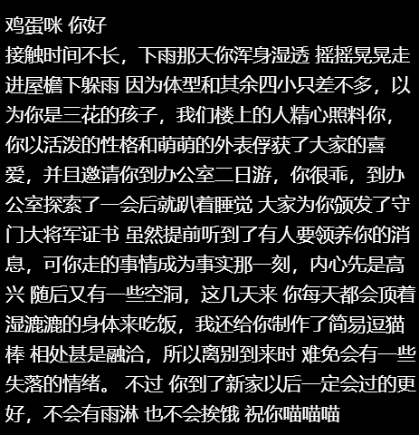 流浪小咪收养野人后留信告知好朋人…意外得到回信:呜呜祝你幸福喵喵喵喵(组图) - 2
