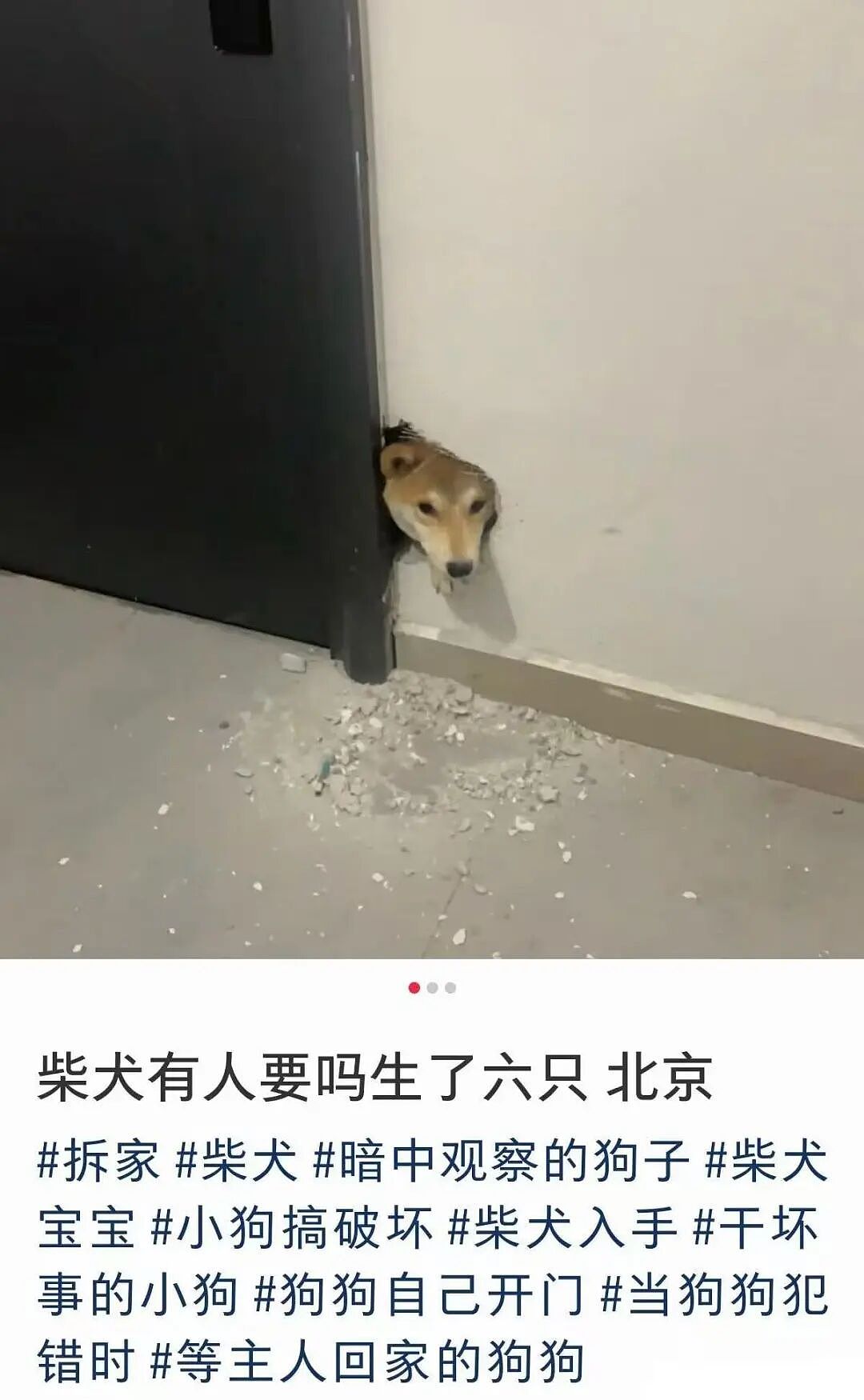 【爆笑】“当事人原件弄丢后甩出张AI的欠条…?”哈哈哈以为法官的智商是一片鞋垫吗!(组图) - 70
